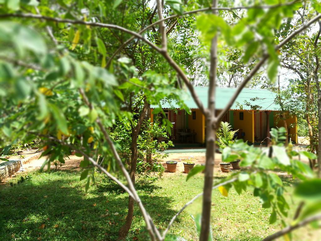 Sigiri La Veranda Lodge Sigiriya Eksteriør billede